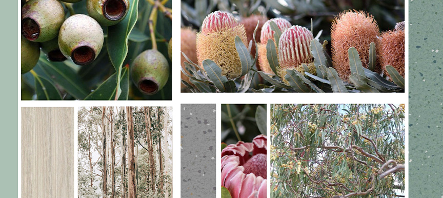 A collage of earthy green images and colours inspired by the Rockhampton area's flora.